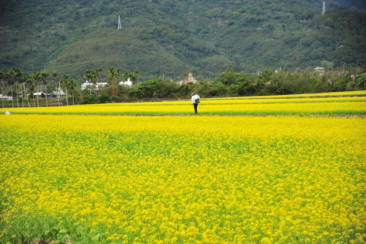 Guanshan Fukuda Homestay 외부 사진